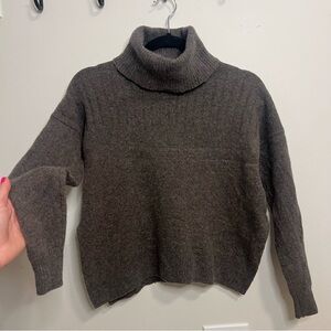 Madewell Dark Brown Wool Turtleneck Sweater Classic Minimalist